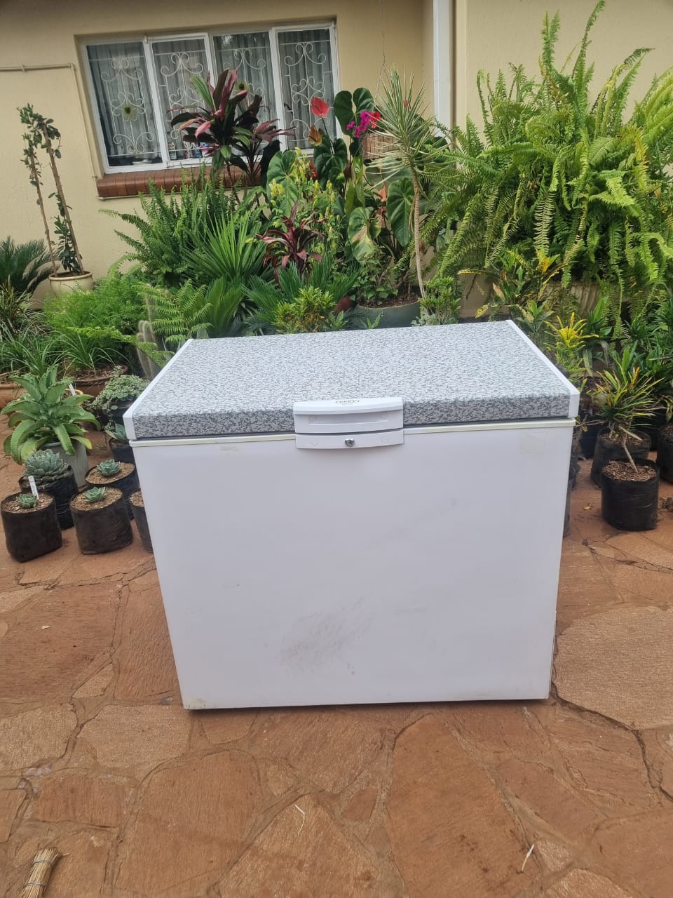 Defy Deep Freezer